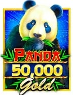 สัมผัสการเล่น cookies casino แบบทดลองสุดมัน!